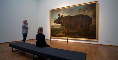 5 bijzondere dieren in de Nederlandse musea