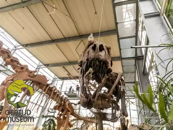 Het Oertijdmuseum Durf jij langs deze dino te lopen? Foto: Visit Brabant
