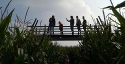 Bezoek een maisdoolhof
