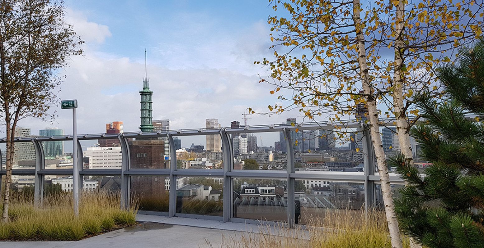 Vanaf het dakterras heb je een spectaculair uitzicht over heel Rotterdam. Foto: DagjeWeg.NL @ Tonny van Oosten