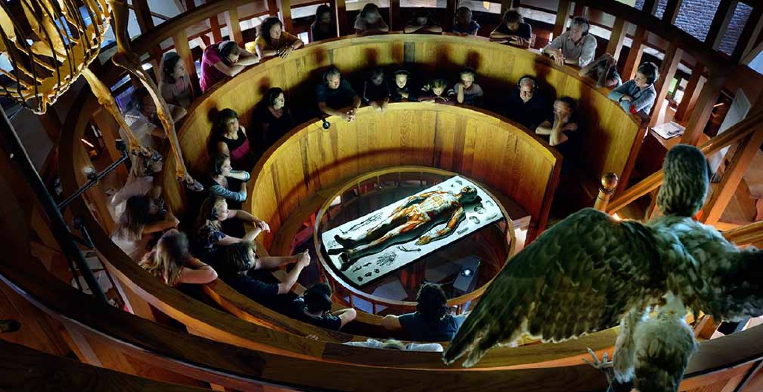 Maak een virtuele ontleding mee in het anatomisch theater. Foto: Rijksmuseum Boerhaave.