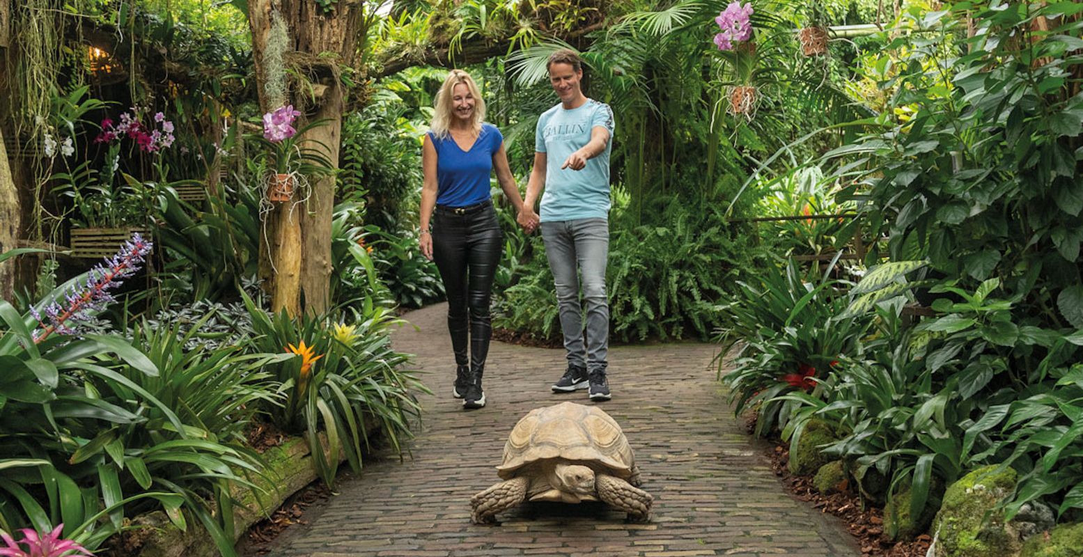 In Pantropica kom je schildpadden, leguanen, aapjes en heel veel vogels en vlinders tegen. Foto: Pantropica