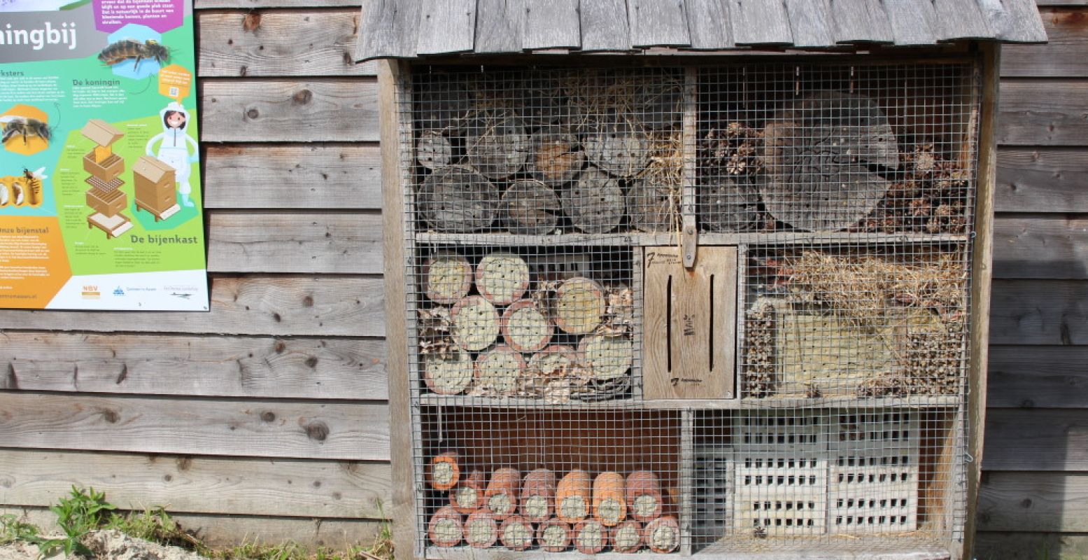 Duurzaam en makkelijk om zelf te maken: een insectenhotel! Foto: DagjeWeg.NL.