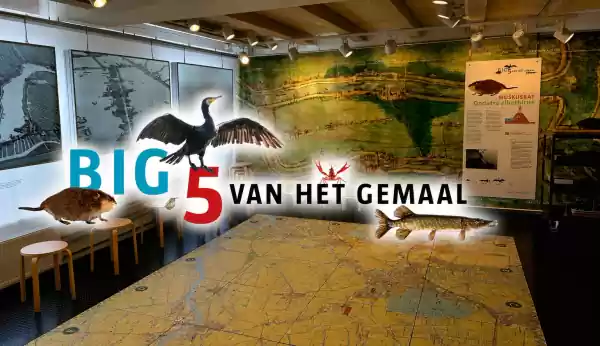 Expositie de BIG 5 van het Gemaal Foto geüpload door gebruiker Waterlinie Evenement