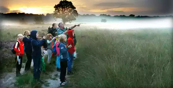 Het beste uit Otterlo: uitjes met een Veluws randje De avonturen op de Veluwe liggen voor het oprapen. Foto: Nationale Park De Hoge Veluwe ©