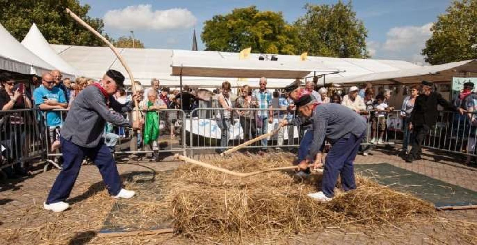 Het oogstfeest in Raalte is uitgegroeid tot een heel festival. Foto: Stöppelhaene