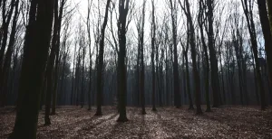 6 winterse wandelingen