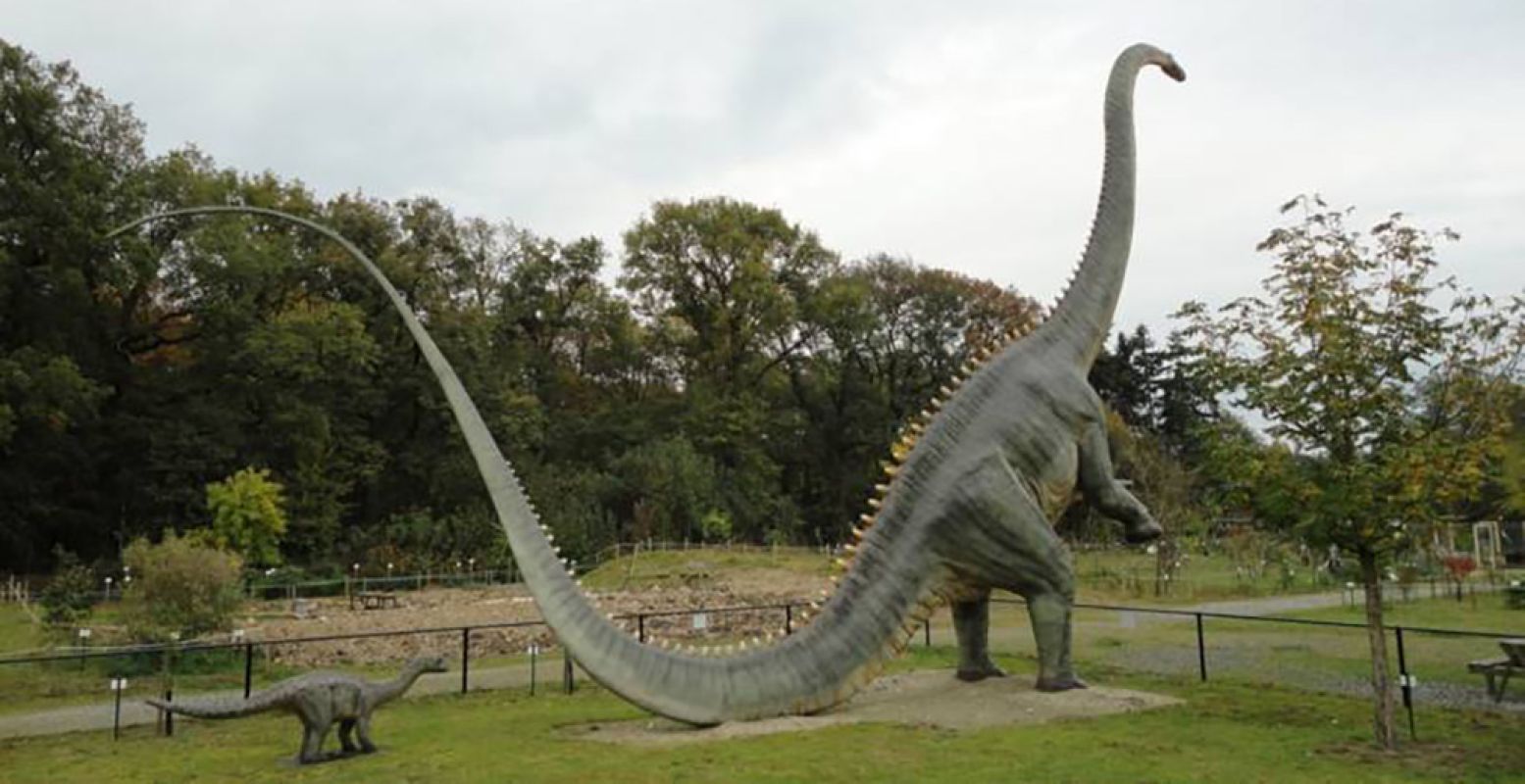 In het museum kun je al een replica zien van de indrukwekkende langnekdinosaurus. Foto: Oertijdmuseum Boxtel