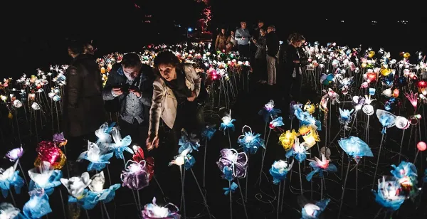 Vier de herfst met 7 prachtige lichtfestivals