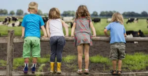 Vakantie op het boerenerf Zoveel ruimte om te spelen! Foto: FarmCamps