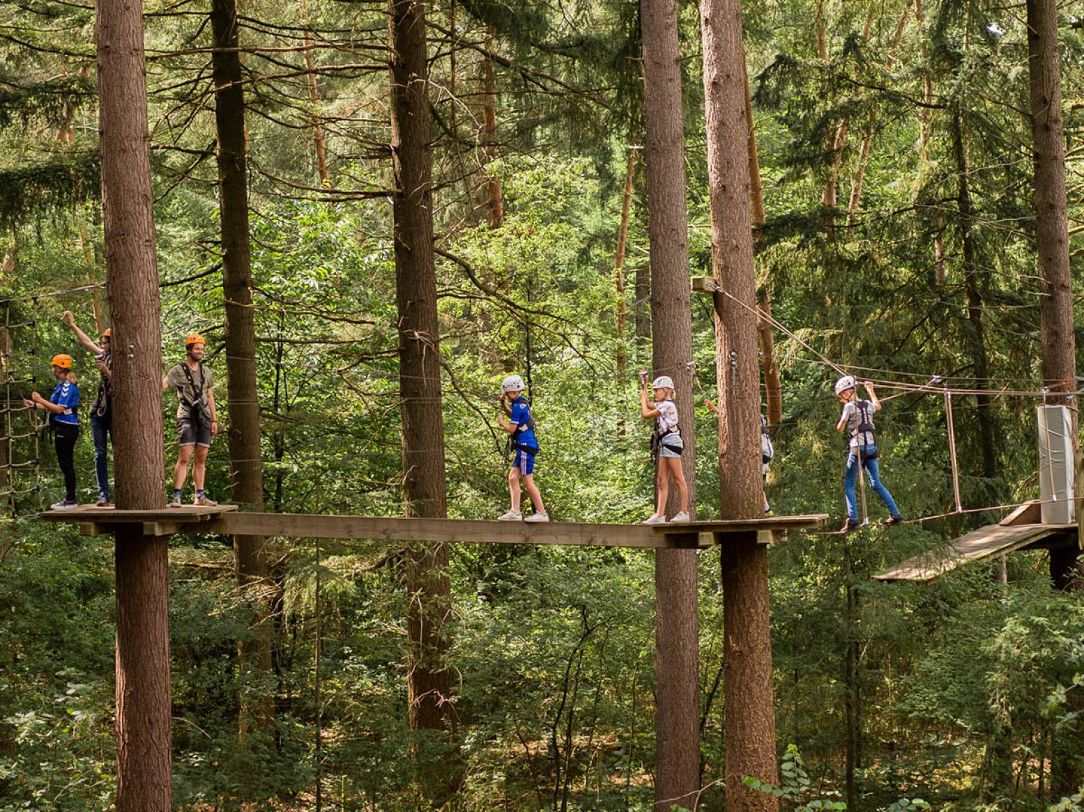 Balanceer op meters hoge balken. Foto: Klimbos Garderen