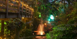 Wat is er te doen dit weekend? Foto: Orchideeën Hoeve