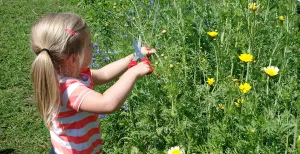 Bekijk inspirerende tuinen tijdens de Nationale Tuinweek 2019