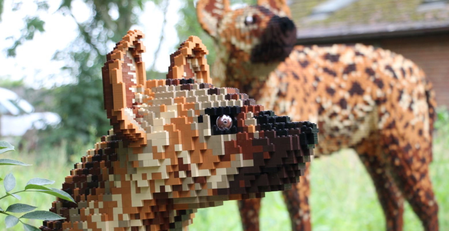 Foto: Burgers' Zoo © Jack Rizzo / Bright Bricks.