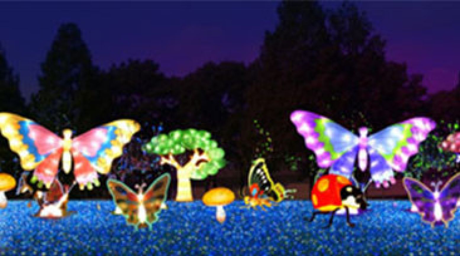 Lichtgevende vlinders. Foto: Burgers' Zoo