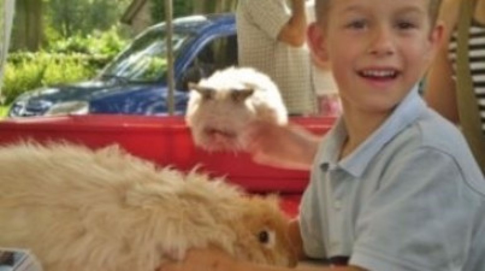 Knuffel grote en kleine boerderijdieren! Foto: Boerderijenfestival Orvelte