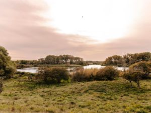 Amsterdamse Waterleidingduinen