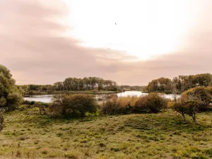 Amsterdamse Waterleidingduinen Foto: © Fotostudio Zandvoort