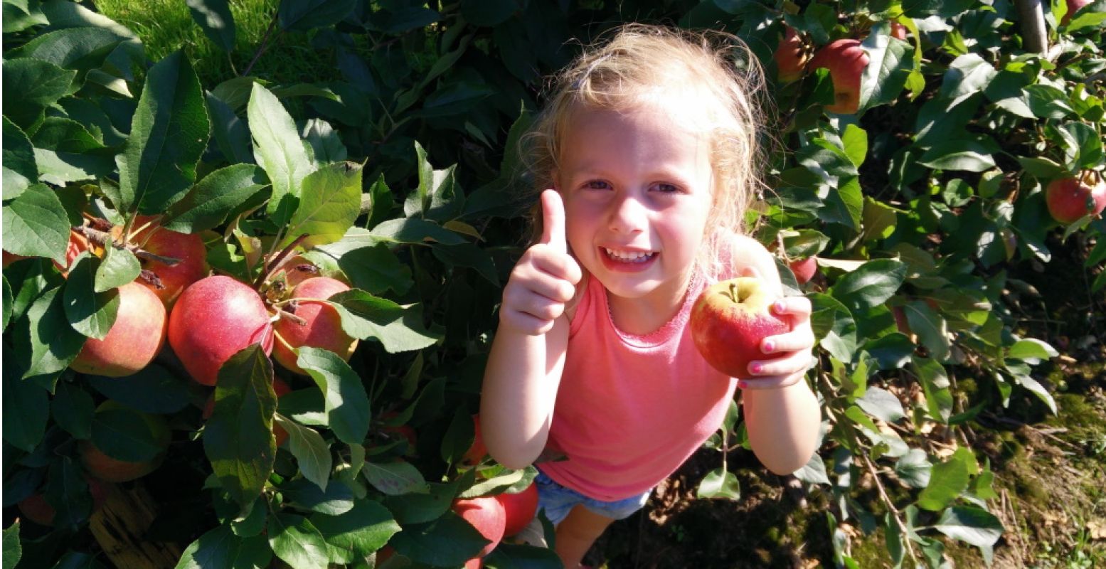 Een appeltje voor de dorst! Foto: Nederlandse Fruittelers Organisatie © Marijke van Ossenbruggen.