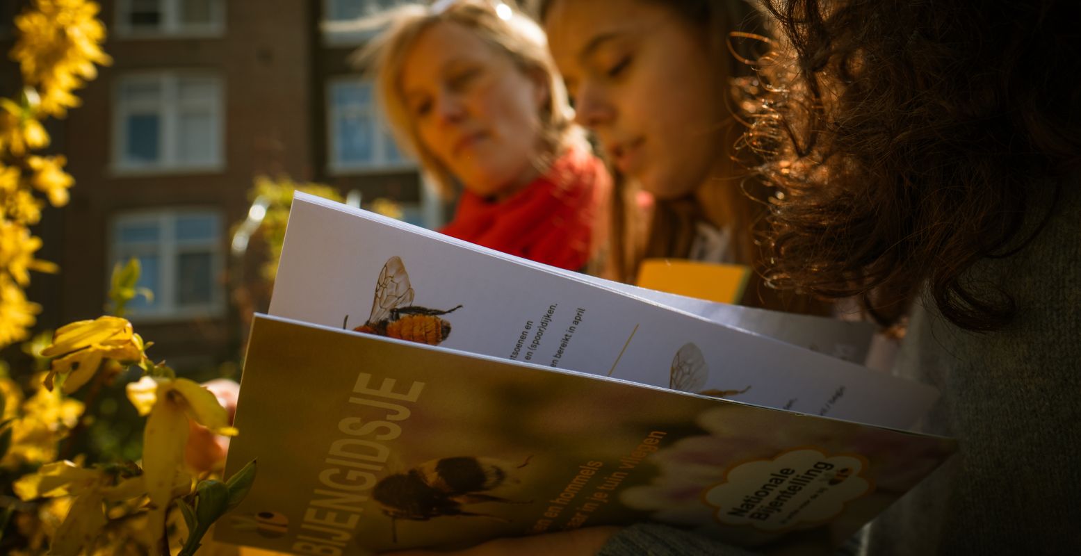 Gebruik de speciale bijengids als hulpmiddel tijdens het tellen. Foto: IVN, Naturalis © Anne Kaere Fotografie