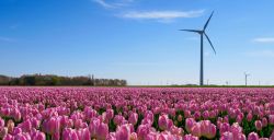 DW Awards: uitmuntende uitjes uit Flevoland