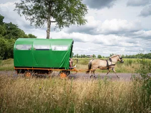 Huifkarverhuur Estelle Geniet van het Drents-Friese Wold. Foto: Huifkarverhuur Estelle