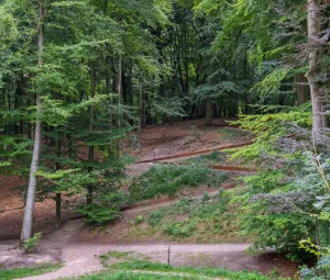 Avondwandeling Foto geüpload door gebruiker Geldersch Landschap en Kasteelen
