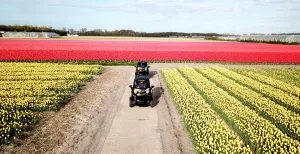 Hier vind je tulpenvelden - een plaatje! Volg de Tulpen Tour van Renzy.NL en rijd door de bollenvelden. Foto: Renzy.NL