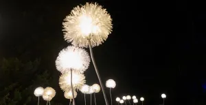 Stap in een sprookje van licht bij Kasteel Doornenburg