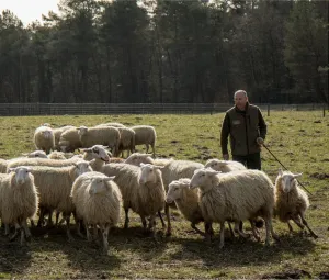 Op bezoek bij de herder Foto geüpload door gebruiker Geldersch Landschap en Kasteelen