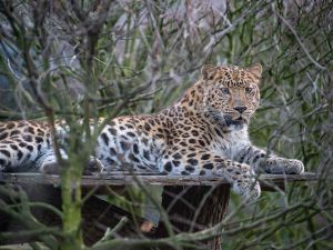 Dierentuin Tierpark Nordhorn