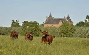 Struintocht Munnikenland Foto geüpload door gebruiker Stichting Liniebreed Ondernemen.