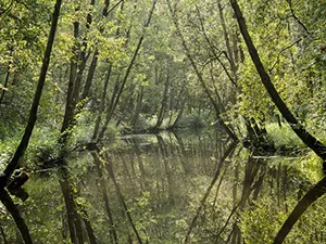 Foto: Natuurmonumenten