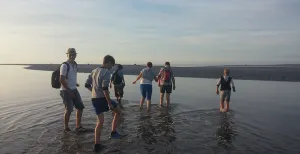 Gratis wadlopen tijdens Dag van het Wad!