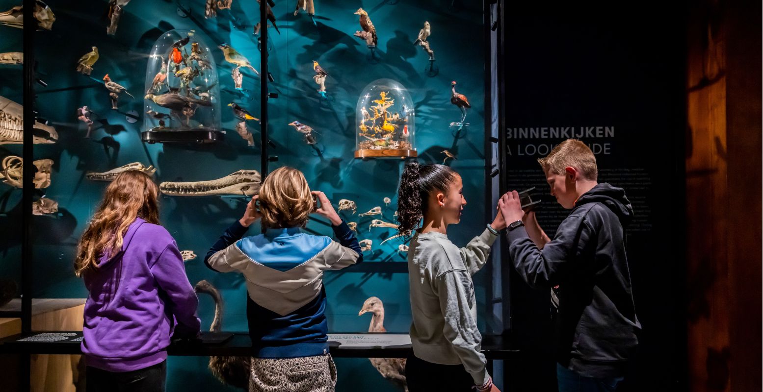 Verwonder je over verschillende dieren en vergelijk ze met jezelf. Foto: Universiteitsmuseum Utrecht