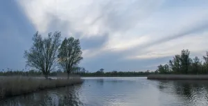 Hoezee! Nationaal Park De Biesbosch bestaat 25 jaar