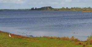 Nationaal Park Lauwersmeer