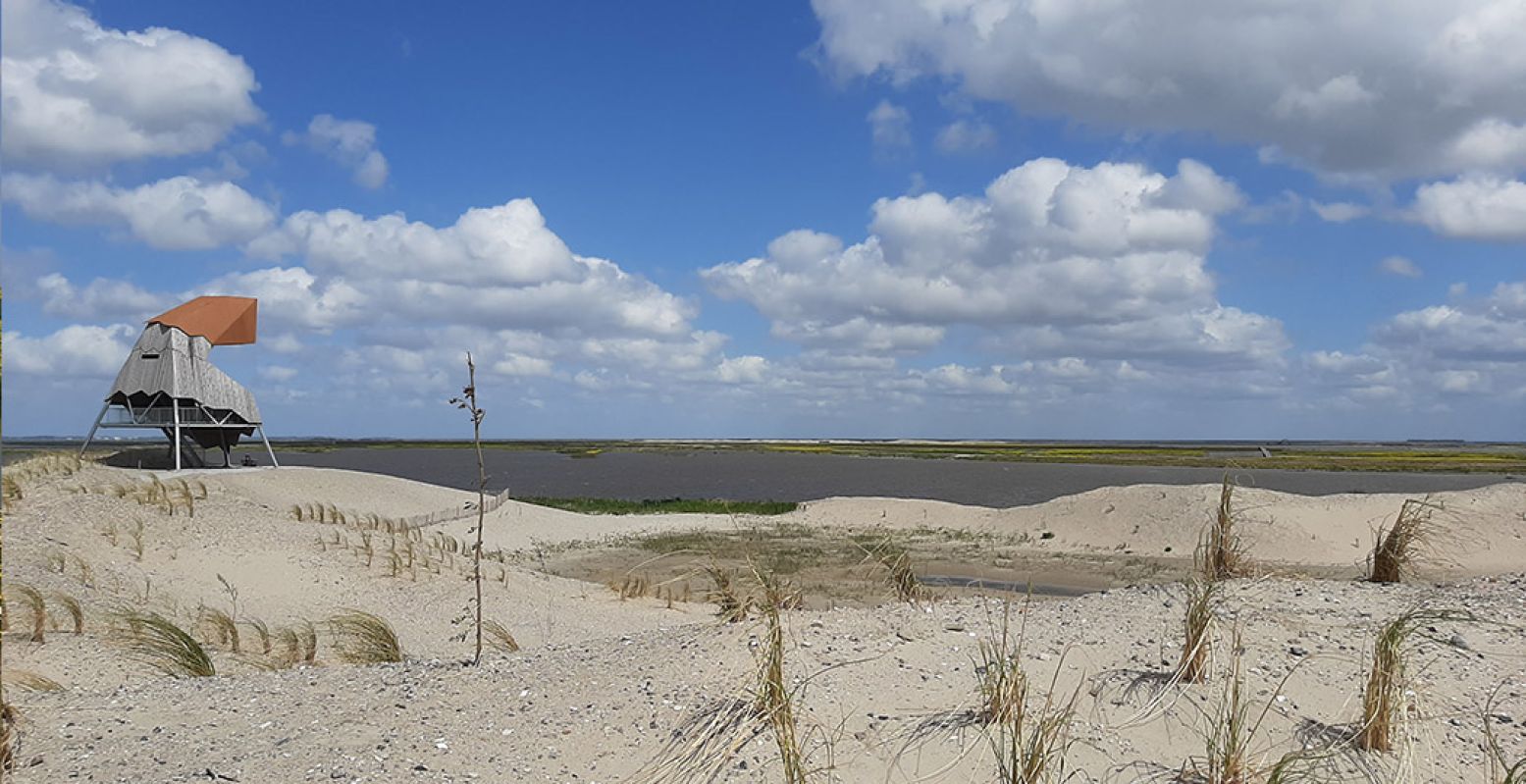 Bewonder de natuur vanaf de uitkijktoren op het grootste eiland van de Marker Wadden. Foto: Natuurmonumenten @ Dirk Wijnen