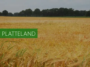 Geiten Boerderij Noord-Holland 