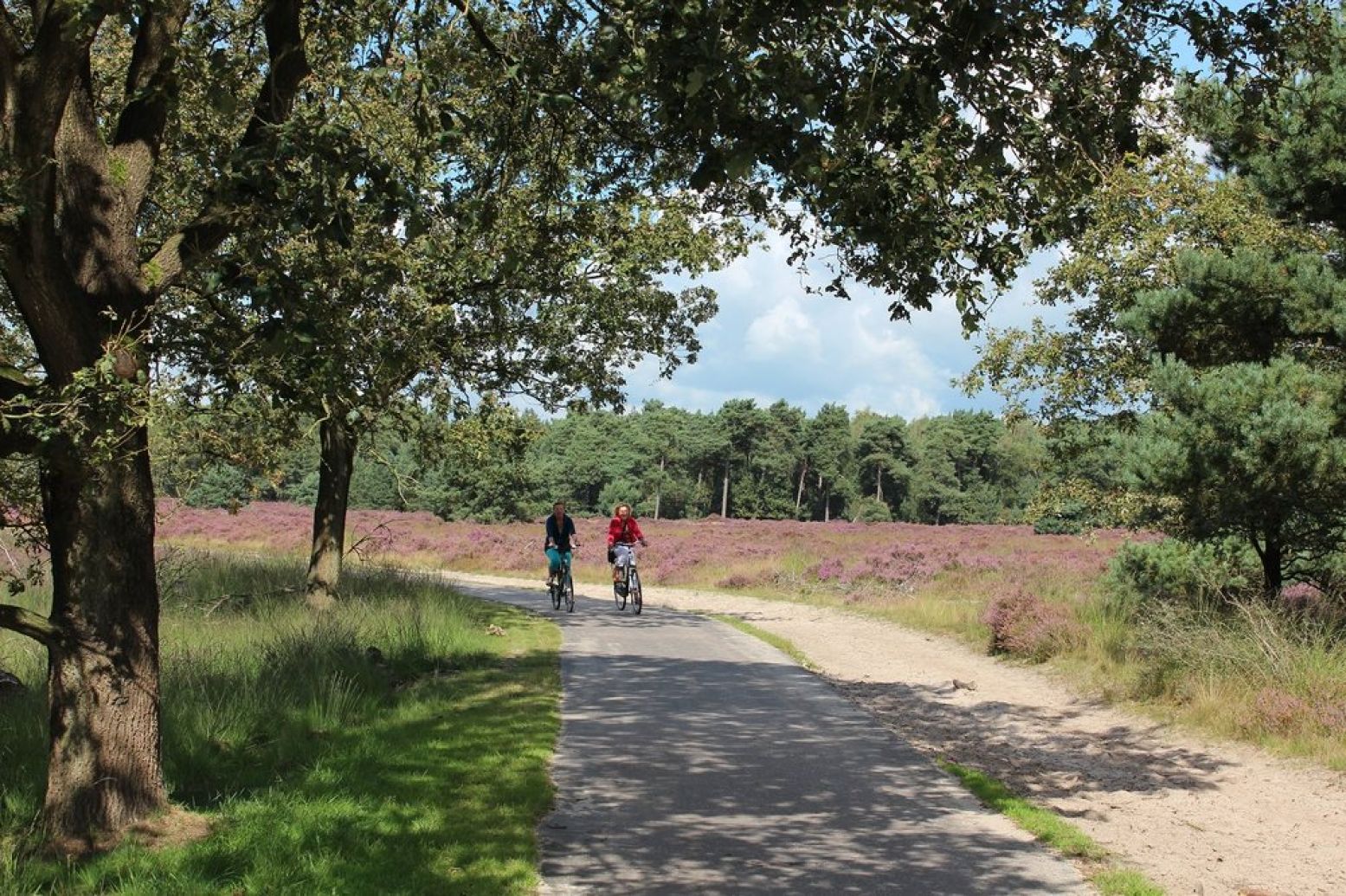 Fietsen door de prachtige Brabantse landschappen. Foto: Recreatief Loon op Zand