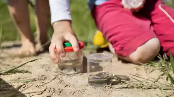 Kinderen bekijken waterdiertjes in loeppotje | Foto ge&uuml;pload door gebruiker Staatsbosbeheer.