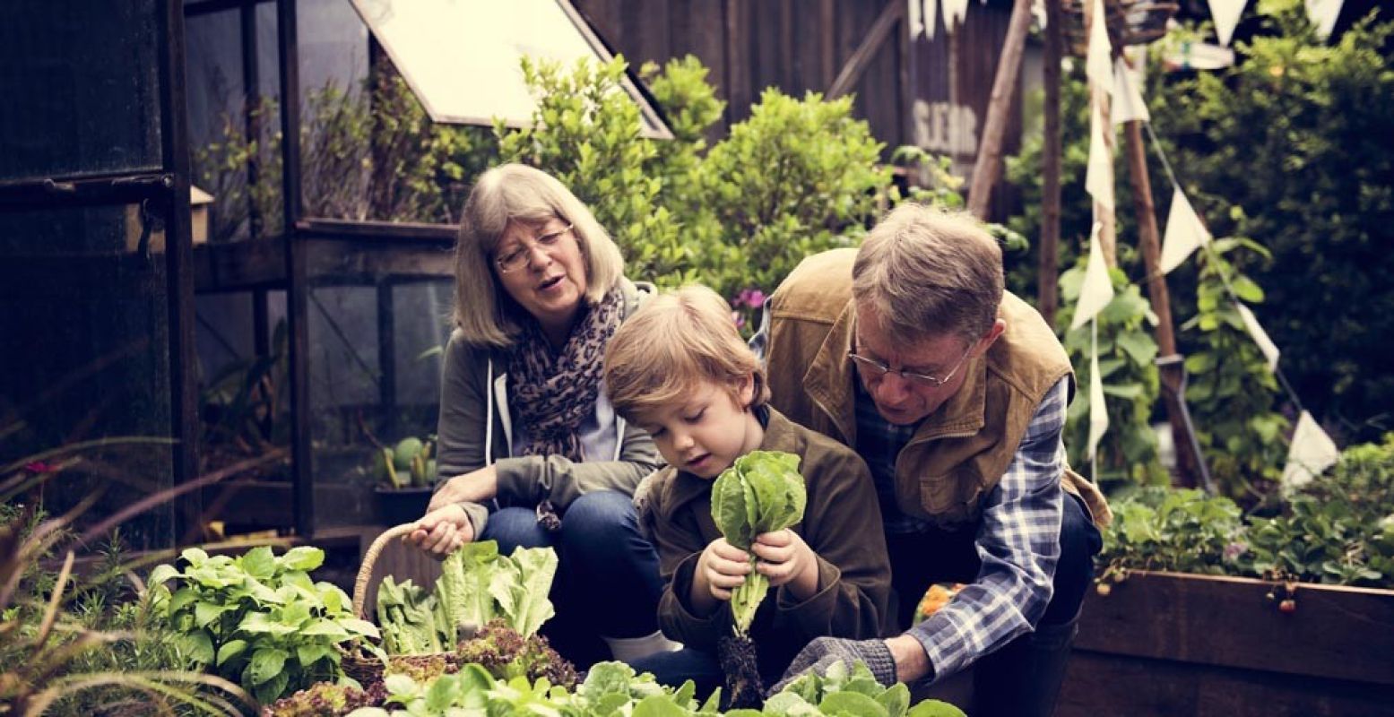 Leer hoe je moet tuinieren. Foto: Stadstuinenfestival Almere