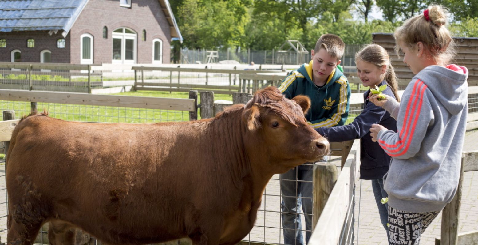 Speelboerderij De Flierefluiter is een speelparadijs, avonturendorp en kinderboerderij in één. Foto: De Flierefluiter.