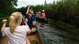 Gezinnen varen op de dommel in kano's Foto: Rofra