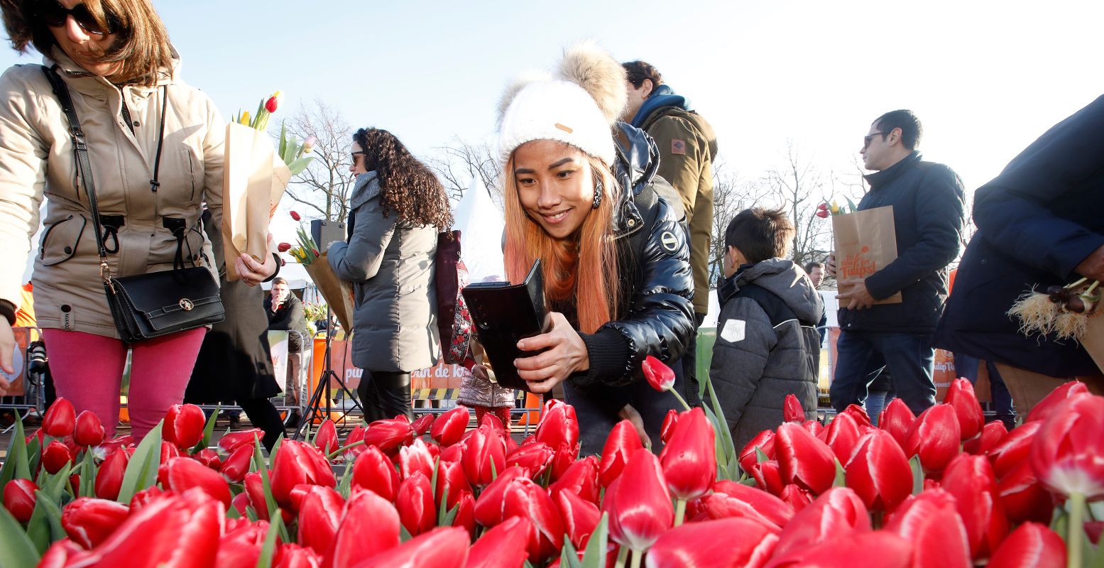 Even een foto voor ze allemaal op zijn. De Nationale Tulpendag, waar je gratis een bosje tulpen kunt plukken, is razend populair. Foto: Tulpen Promotie Nederland