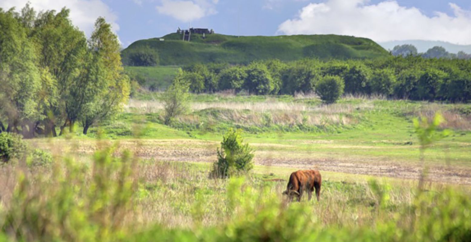 Ontdek de ruige natuur en de geschiedenis van Fort Pannerden tijdens de Belevenisroute rondom het fort. Foto: Fort Pannerden