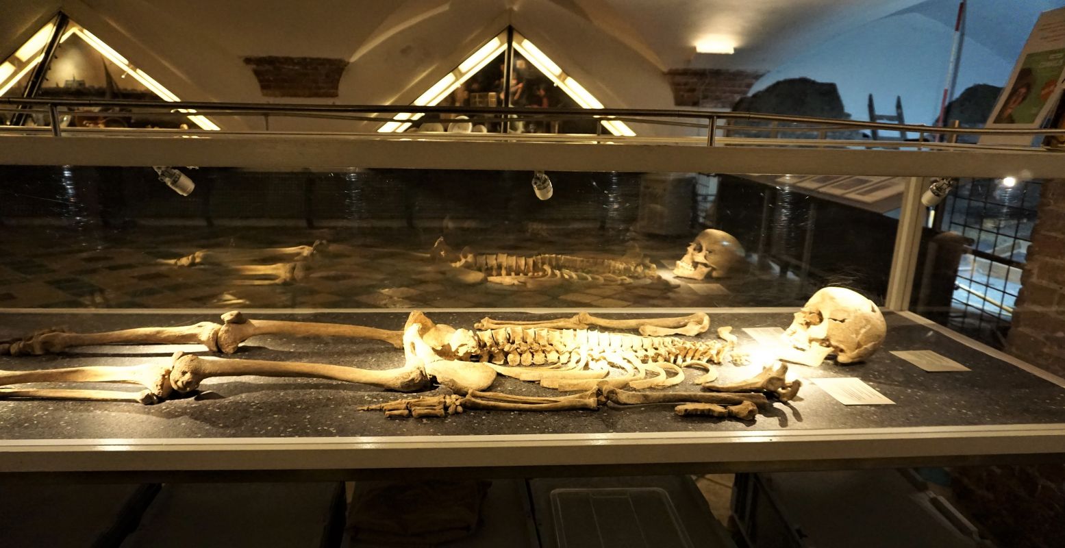 Het skelet van een Haarlemmer uit de middeleeuwen. Foto: DagjeWeg.NL © Tonny van Oosten