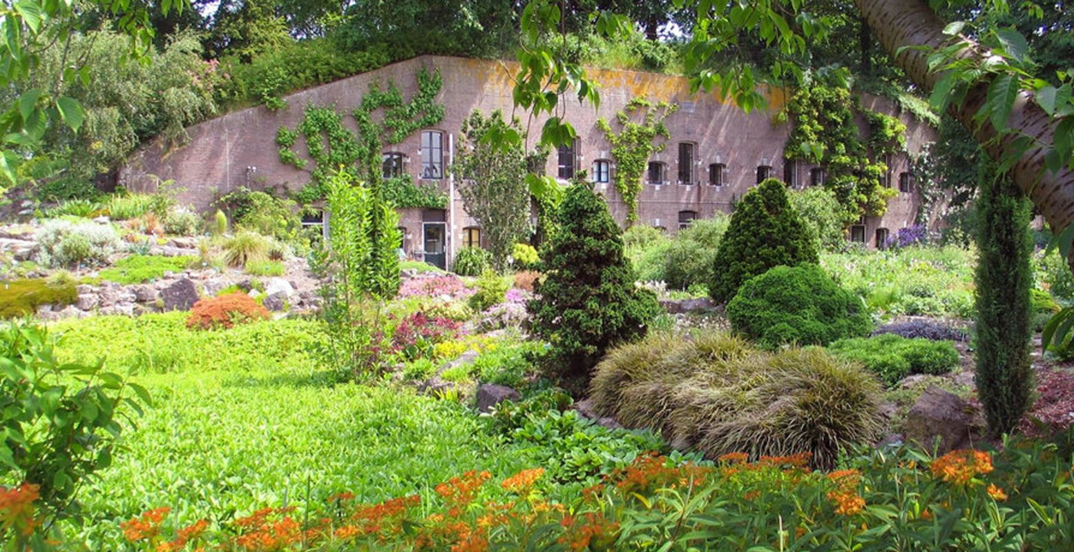 Fort Hoofddijk ligt verscholen tussen de prachtige bomen en planten van de Botanische Tuinen Universiteit Utrecht. Foto: Botanische Tuinen Universiteit Utrecht