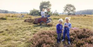 De leukste uitjes op de Veluwe Verken samen de groene en weidse Veluwe. Foto: Toerisme Veluwe