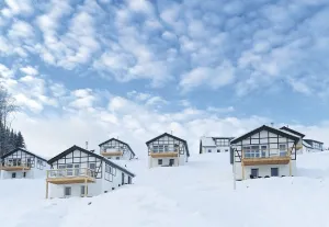 Landal Winterberg Huisjes in de sneeuw op Landal Winterberg